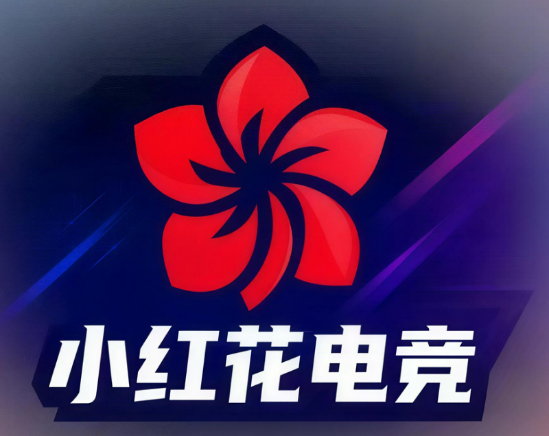 小红花电竞